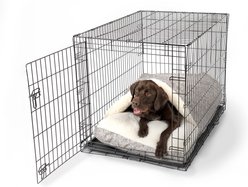 Snoozer Pet Products 100% Washable Forgiveness Cozy Cave Orthopedic Dog & Cat Crate Bed with Removable Cover, Merlin Linen Gray, X-Large
