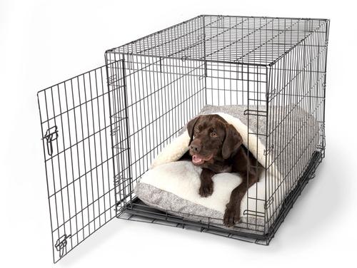 Show full view: Snoozer Pet Products 100% Washable Forgiveness Cozy Cave Orthopedic Dog & Cat Crate Bed with Removable Cover, Merlin Linen Gray, X-Large slide 1 of 8