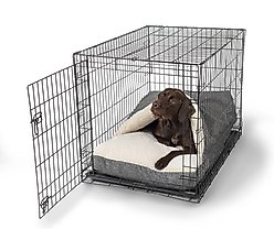 Snoozer Pet Products 100% Washable Forgiveness Cozy Cave Orthopedic Dog & Cat Crate Bed with Removable Cover, Merling Pewter Gray, Large