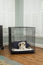 Snoozer Pet Products 100% Washable Forgiveness Cozy Cave Orthopedic Dog & Cat Crate Bed with Removable Cover, Navy, Medium