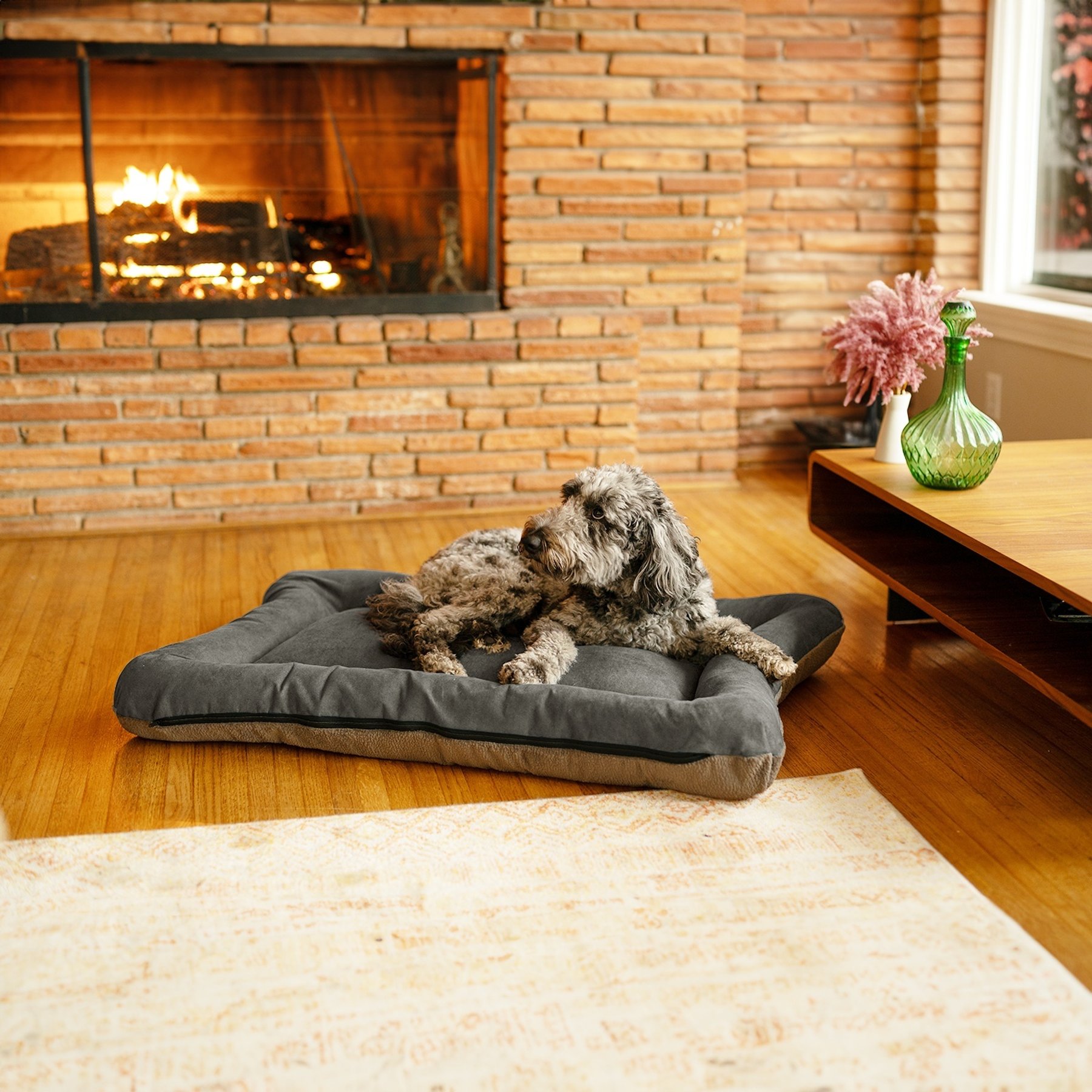 Snoozer Pet Products All Day with Cloud 9 Reversible Microsuede Dog & Cat Bed, Anthracite & Ash, Large