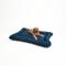 Show in main carousel: Snoozer Pet Products All Day with Cloud 9 Ash Reversible Microsuede Dog & Cat Bed, Sapphire, Large slide 3 of 6