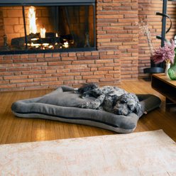 Snoozer Pet Products All Day with Cloud 9 Ash Reversible Premium Microsuede Dog & Cat Bed, Marmot Storm, Large