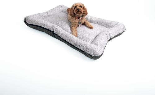 Show full view: Snoozer Pet Products All Day with Cloud 9 Ash Reversible Premium Microsuede Dog & Cat Bed, Palmer Dove, Large slide 5 of 7