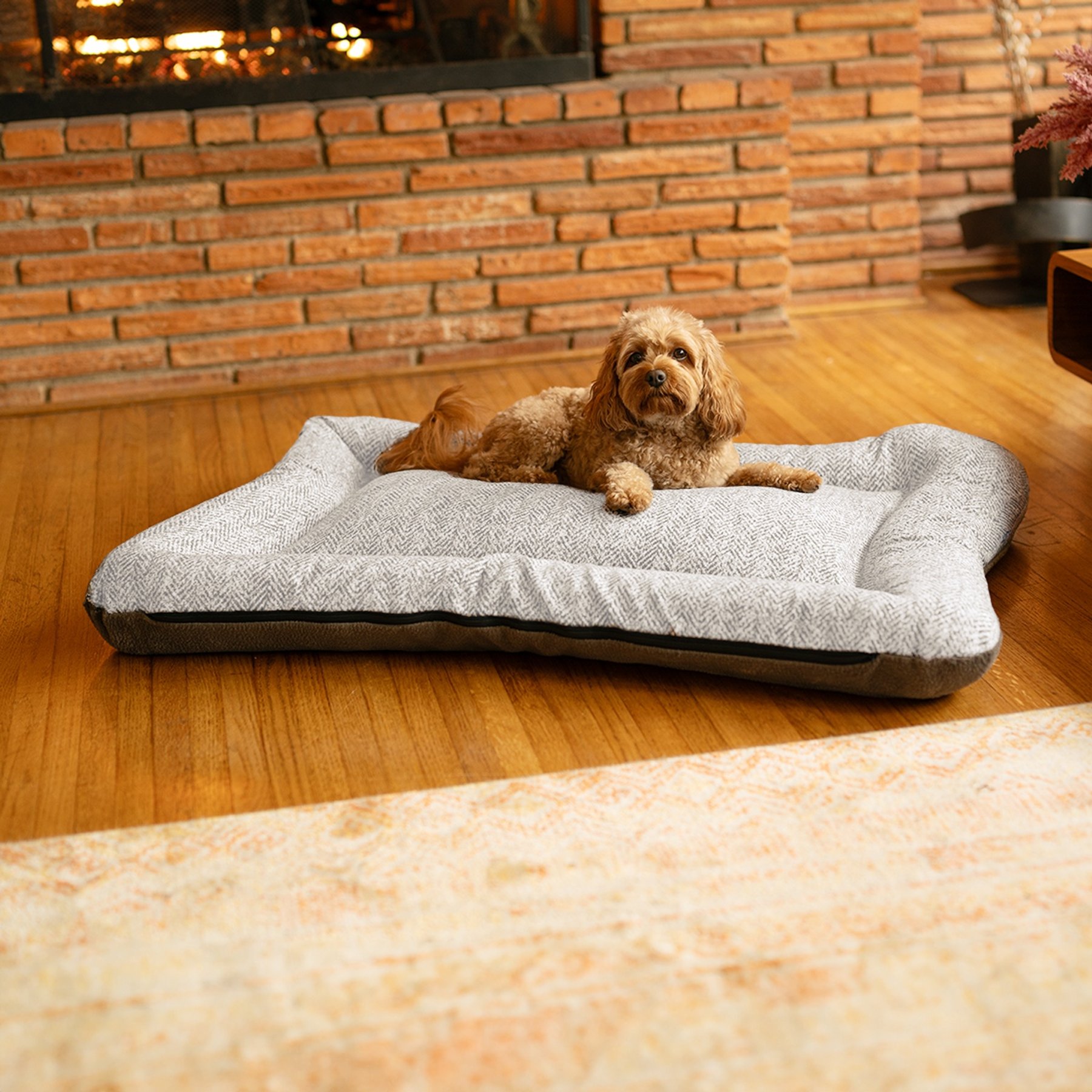 Snoozer Pet Products All Day with Cloud 9 Reversible Premium Microsuede Dog & Cat Bed, Palmer Dove & Ash, Medium