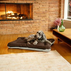 Snoozer Pet Products All Day with Cloud 9 Ivory Reversible Microsuede Dog & Cat Bed, Hot Fudge, Large