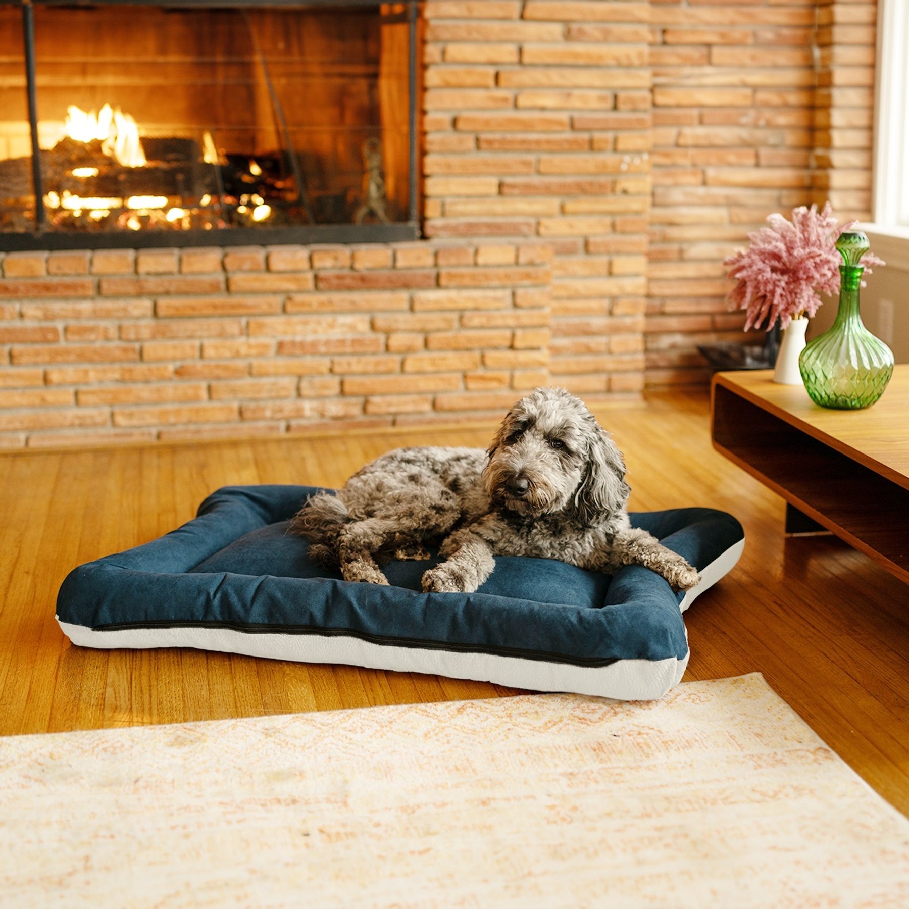 Snoozer Pet Products All Day with Cloud 9 Reversible Microsuede Dog & Cat Bed, Sapphire & Ivory, Medium