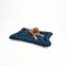 Show in main carousel: Snoozer Pet Products All Day with Cloud 9 Ivory Reversible Microsuede Dog & Cat Bed, Sapphire, X-Large slide 4 of 5