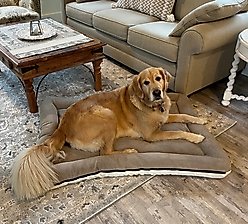 Snoozer Pet Products All Day with Cloud 9 Ivory Reversible Premium Microsuede Dog & Cat Bed, Marmot Taupe, Large