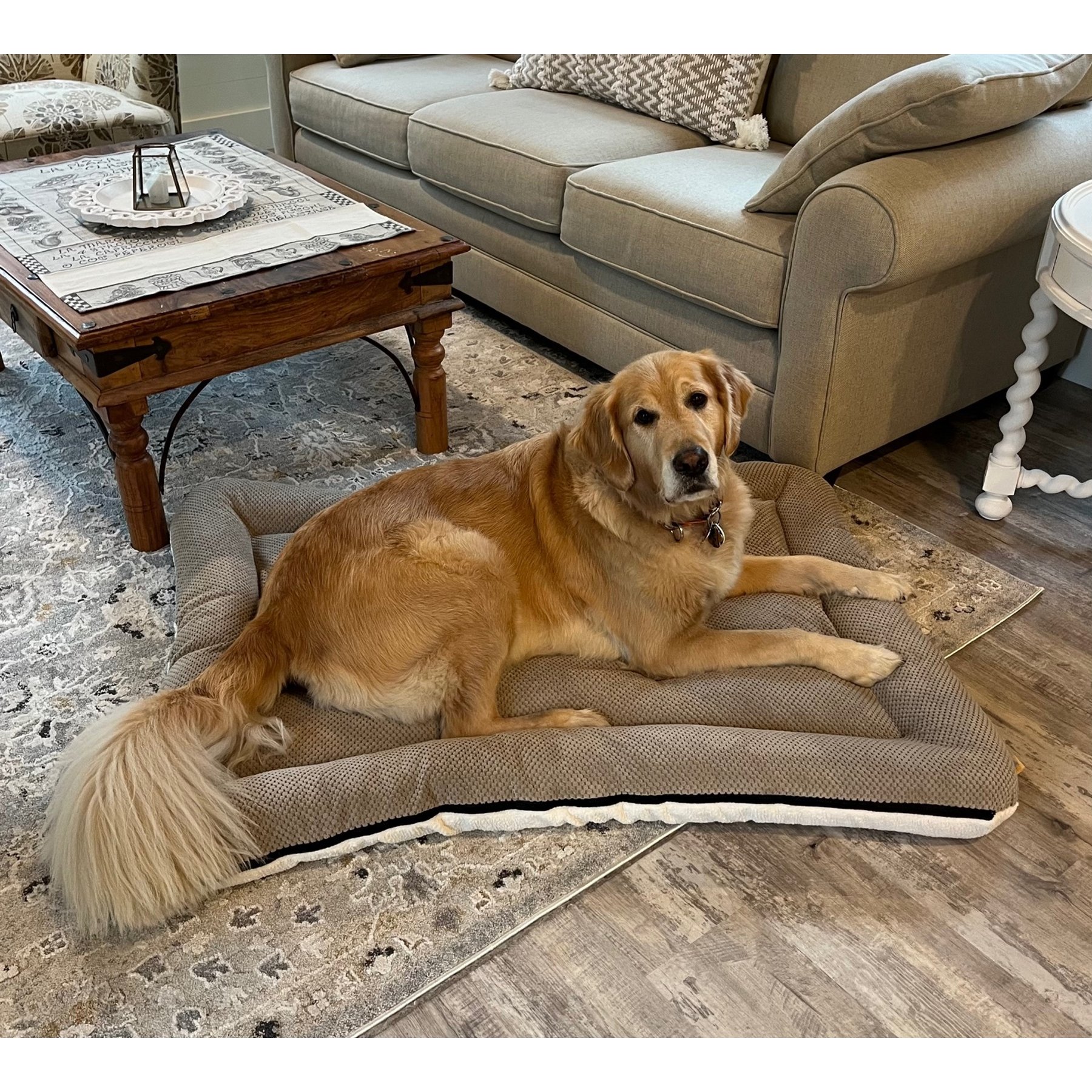 Snoozer Pet Products All Day with Cloud 9 Reversible Premium Microsuede Dog & Cat Bed, Marmot Taupe & Ivory, Medium