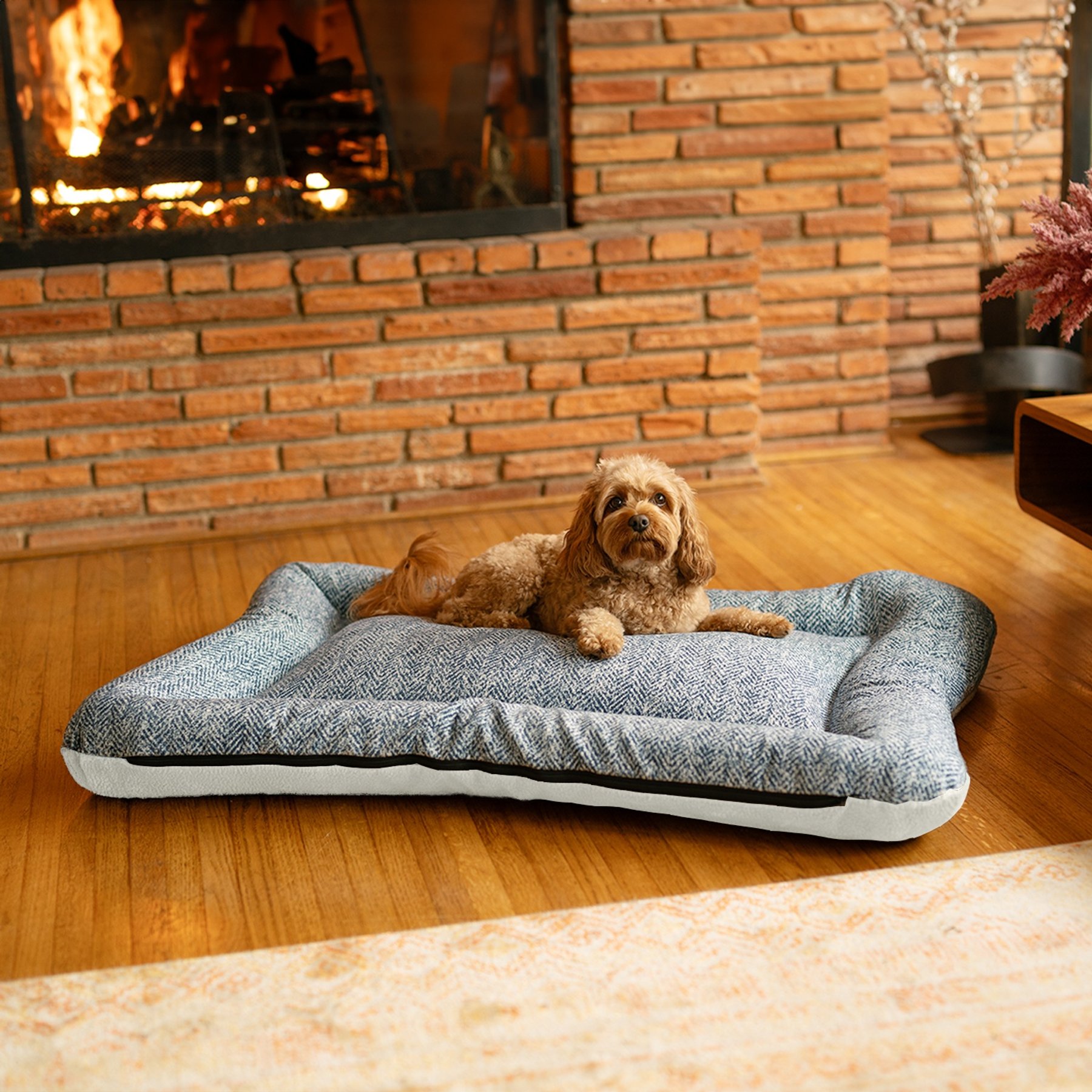Snoozer Pet Products All Day with Cloud 9 Reversible Premium Microsuede Dog & Cat Bed, Palmer Indigo & Ivory, Small