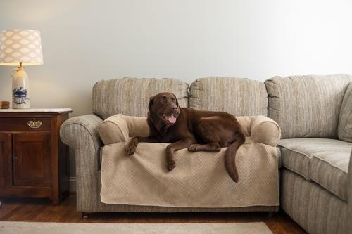 Show full view: Snoozer Pet Products Couch Companion Bolstered Sofa Dog & Cat Throw Bed with Removable Cover, Marmot Sand, One Size slide 1 of 6