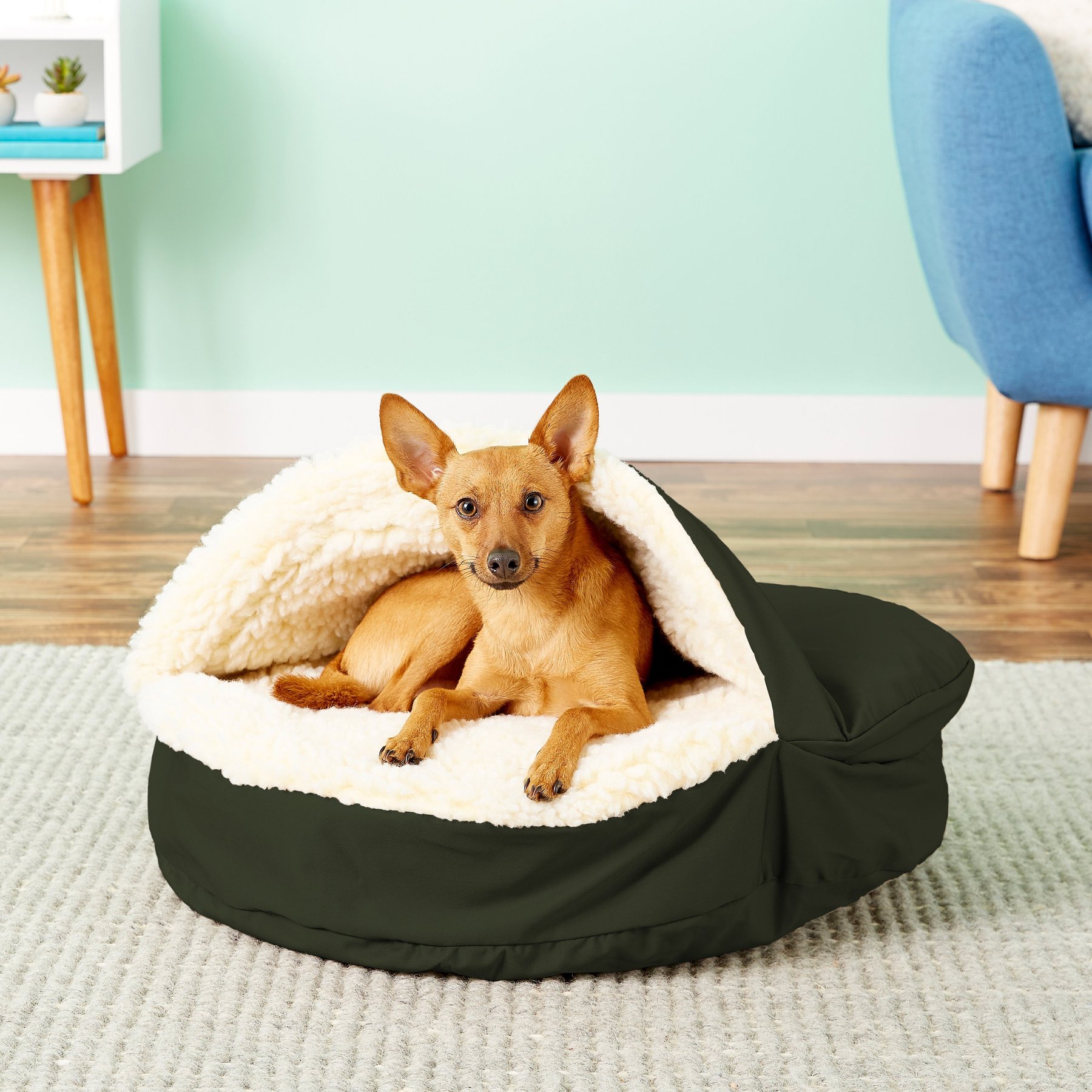Snoozer Pet Products Cozy Cave Orthopedic Covered Cat & Dog Bed with Removable Cover, Olive, Small