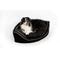 Show in main carousel: Snoozer Pet Products Luxury Corner Bolster Dog Bed with Removable Cover, Black, Medium slide 2 of 5