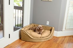 Snoozer Pet Products Luxury Corner Bolster Dog Bed with Removable Cover, Camel, Large