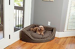 Snoozer Pet Products Luxury Corner Bolster Dog Bed with Removable Cover, Hot Fudge, Small