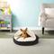 Show in main carousel: Snoozer Pet Products Luxury Cozy Cave Orthopedic Cat & Dog Bed with Removable Cover, Black, Small slide 1 of 9