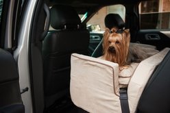 Snoozer Pet Products Luxury Lookout 1, Medium, Buckskin/Java slide 2 of 5