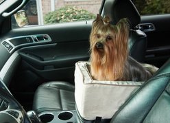 Snoozer Pet Products Luxury Microfiber Console Dog & Cat Car Seat, Buckskin, Small