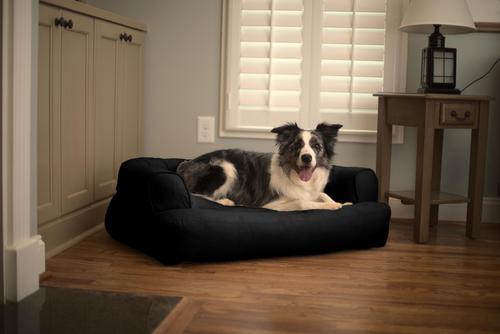 Show full view: Snoozer Pet Products Luxury Orthopedic Bolster Dog Bed with Removable Cover, Black, Large slide 2 of 5