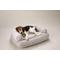 Show in main carousel: Snoozer Pet Products Luxury Orthopedic Bolster Dog Bed with Removable Cover, Palmer Dove, X-Large slide 1 of 7