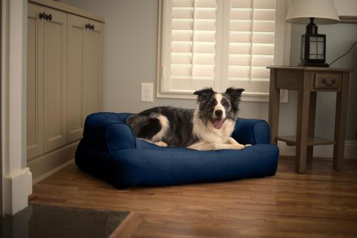 Show full view: Snoozer Pet Products Luxury Orthopedic Bolster Dog Bed with Removable Cover, Sapphire, Small slide 3 of 6
