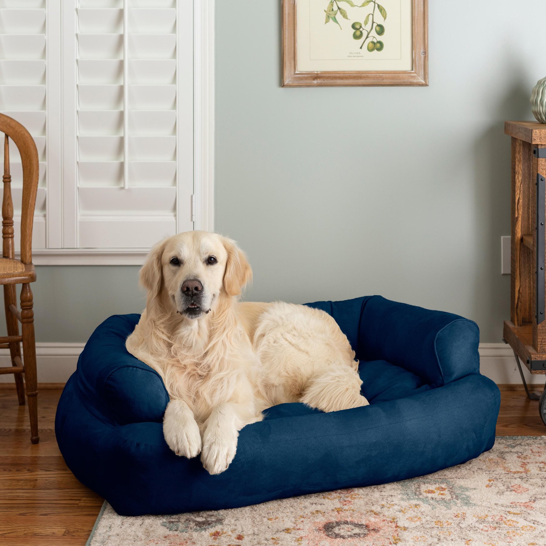 Snoozer Pet Products Luxury Sleeper Sofa Dog & Cat Bed, Blue, Large