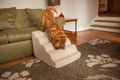 Snoozer Pet Products Orthopedic Scalloped Dog Ramp, Buckskin, Medium