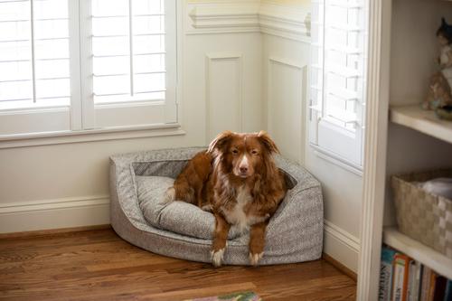 Show full view: Snoozer Pet Products Premium Corner Bolster Dog Bed with Removable Cover, Palmer Indigo, Medium slide 1 of 4