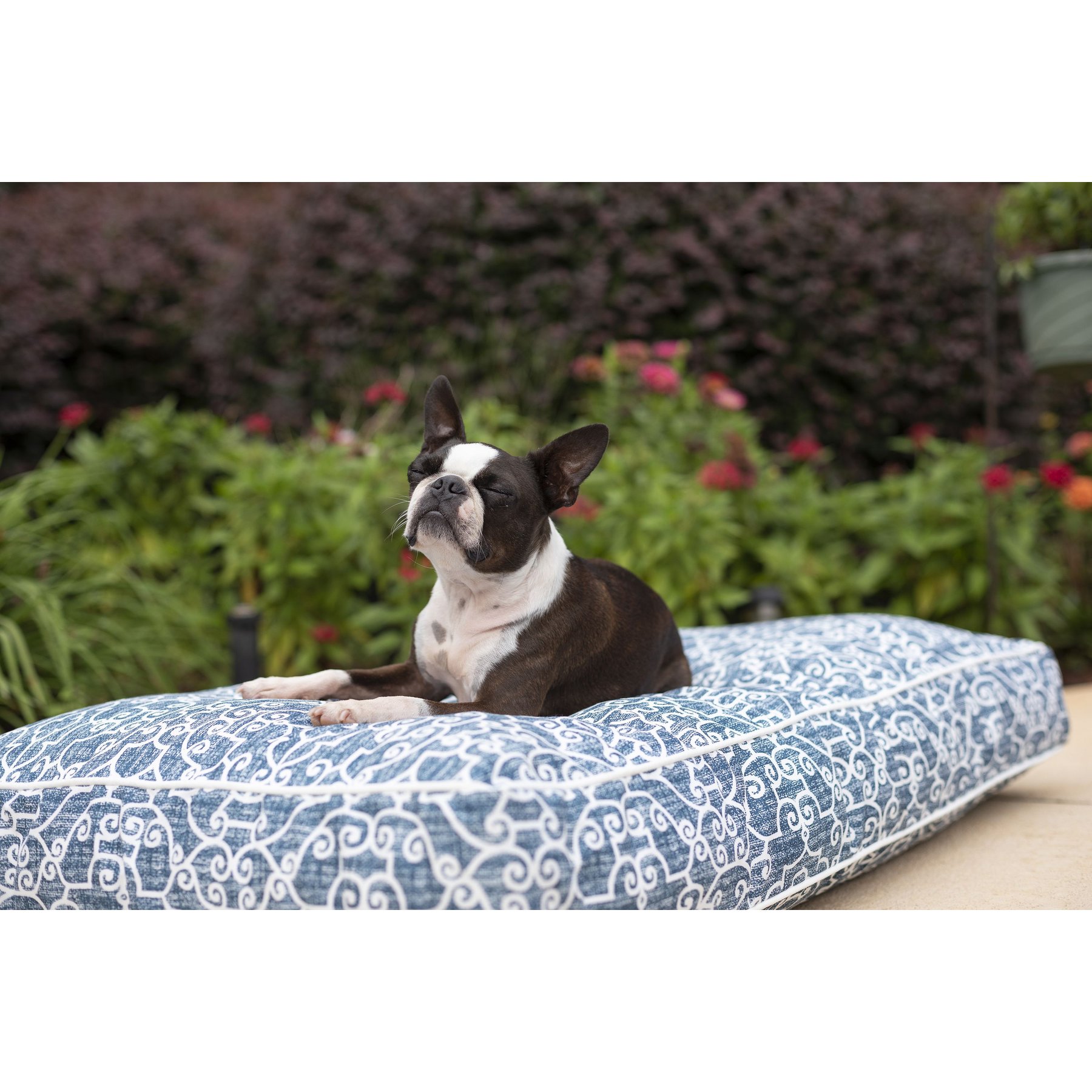 Snoozer Pet Products Rectangle Indoor Outdoor Bed, Blue White, Small