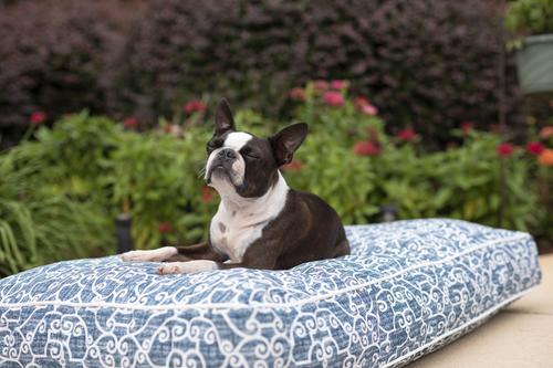 Show full view: Snoozer Pet Products Rectangle Indoor Outdoor Bed, Blue White, X-Large slide 1 of 5