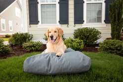 Snoozer Pet Products Rectangular Pillow Dog Bed with Removable Cover, Gunmetal, Large