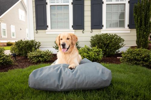 Show full view: Snoozer Pet Products Rectangular Pillow Dog Bed with Removable Cover, Gunmetal, Large slide 1 of 4