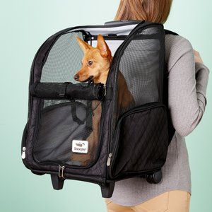 Snoozer Pet Products Roll Around 4-in-1 Travel Dog & Cat Carrier Backpack, Black, Large