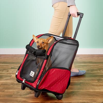 Show full view: Snoozer Pet Products Roll Around 4-in-1 Travel Dog & Cat Carrier Backpack, Red, Large slide 1 of 10