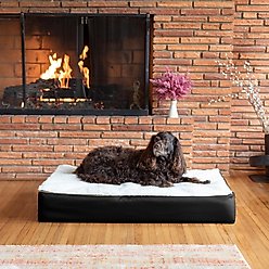 Snoozer Pet Products Super Orthopedic Pillow Dog Bed with Removable Cover, Black, Large