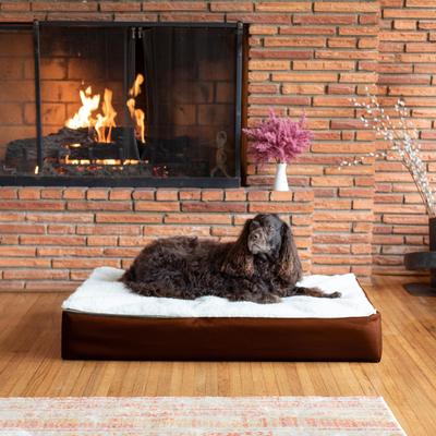 Show full view: Snoozer Pet Products Super Orthopedic Pillow Dog Bed with Removable Cover, Brown, Large slide 1 of 3