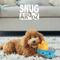 Show in main carousel: Snugarooz Dumpster Fire Squeaky Crinkle Plush Dog Toy, Blue, 6.5-in slide 7 of 8
