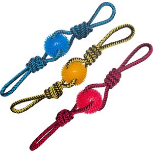 SNUGAROOZ Spikey Baby Rope with Ball Dog Tug Toy, Color