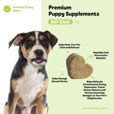 Show full view: Snuggle Puppy Bites Day Calm Supplement Turkey Flavored Soft Chews, 60 count slide 5 of 10