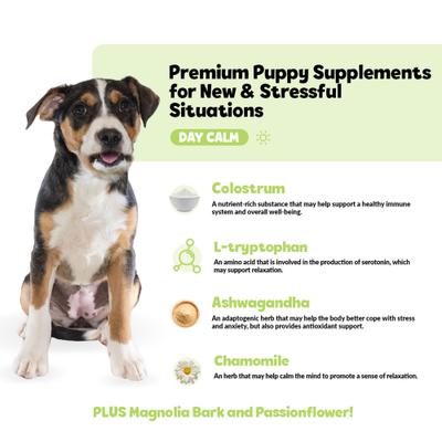 Show full view: Snuggle Puppy Bites Day Calm Supplement Turkey Flavored Soft Chews, 60 count slide 4 of 10