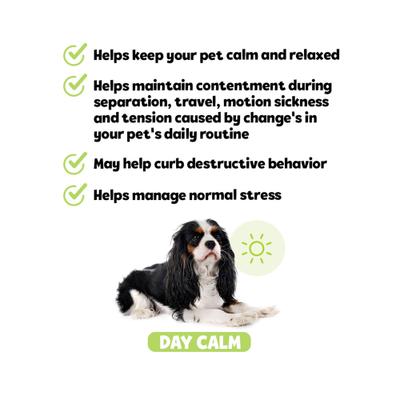 Show full view: Snuggle Puppy Bites Day Calm Supplement Turkey Flavored Soft Chews, 60 count slide 7 of 10