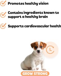 Snuggle Puppy Bites Grow Strong Supplement Salmon Flavored Soft Chews, 60 count slide 2 of 7