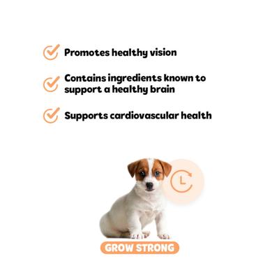 Show full view: Snuggle Puppy Bites Grow Strong Supplement Salmon Flavored Soft Chews, 60 count slide 7 of 11