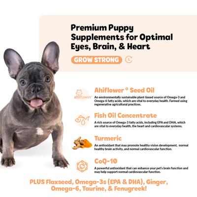 Show full view: Snuggle Puppy Bites Grow Strong Supplement Salmon Flavored Soft Chews, 60 count slide 4 of 11