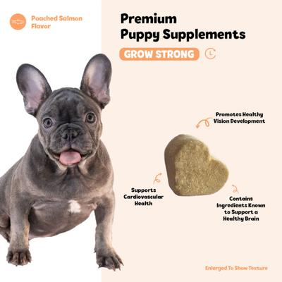 Show full view: Snuggle Puppy Bites Grow Strong Supplement Salmon Flavored Soft Chews, 60 count slide 5 of 11