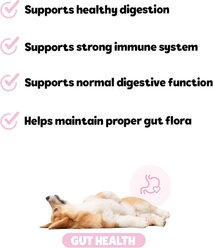 Snuggle Puppy Bites Gut Health Supplement Pumpkin Flavored Soft Chews, 60 count slide 2 of 7
