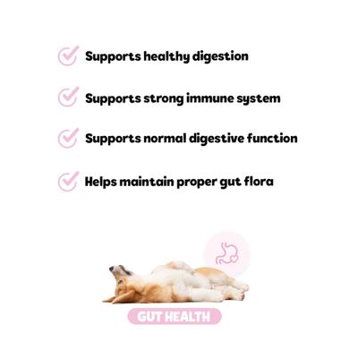 Show full view: Snuggle Puppy Bites Gut Health Supplement Pumpkin Flavored Soft Chews, 60 count slide 7 of 10