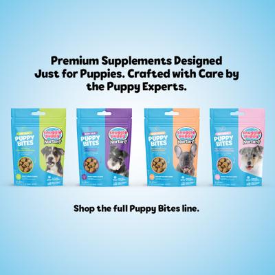 Show full view: Snuggle Puppy Bites Gut Health Supplement Pumpkin Flavored Soft Chews, 60 count slide 8 of 10
