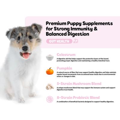 Show full view: Snuggle Puppy Bites Gut Health Supplement Pumpkin Flavored Soft Chews, 60 count slide 4 of 10